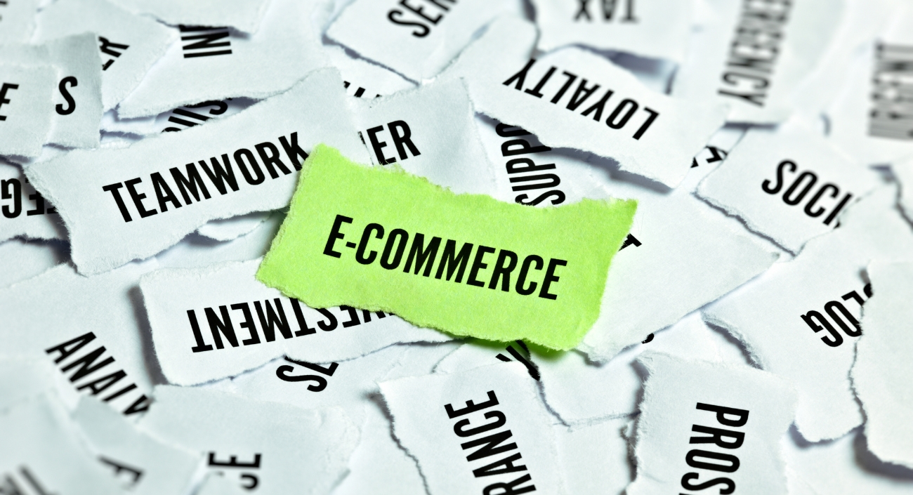 E-Commerce End To End Solutions in Agra and Lucknow